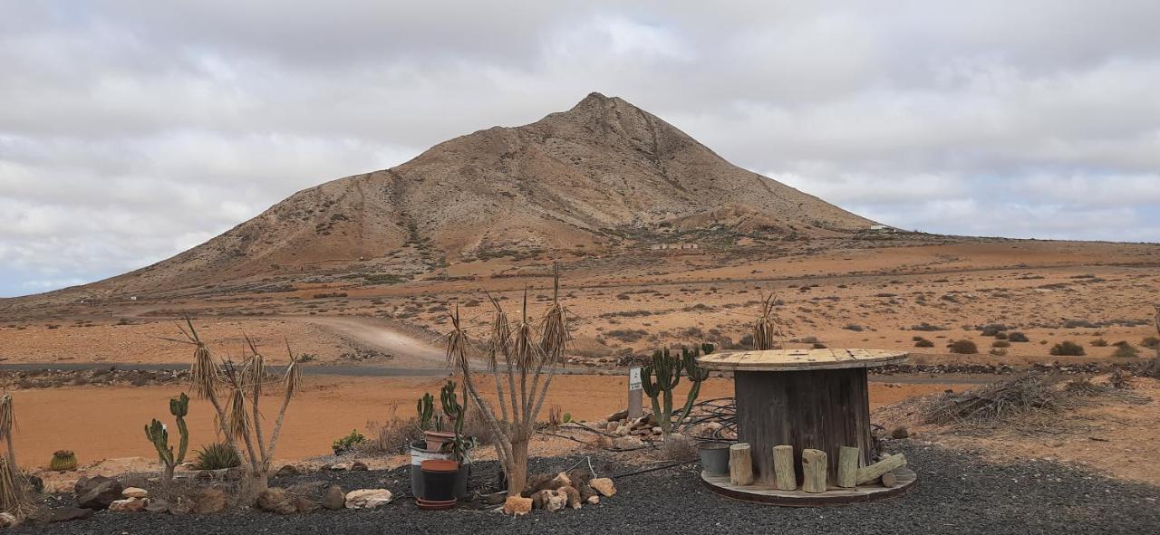 Vila Dos Gatos Fuertaventura Caleta De Fuste Exteriér fotografie