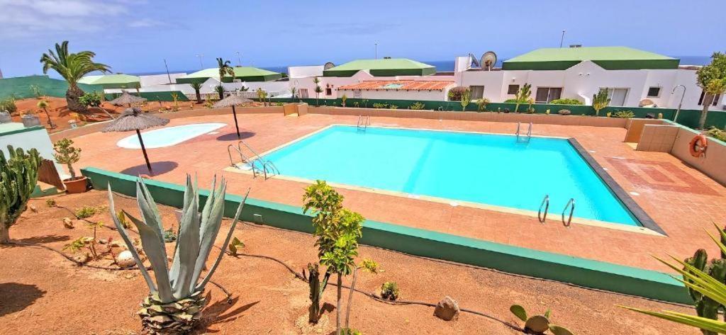 Vila Dos Gatos Fuertaventura Caleta De Fuste Exteriér fotografie